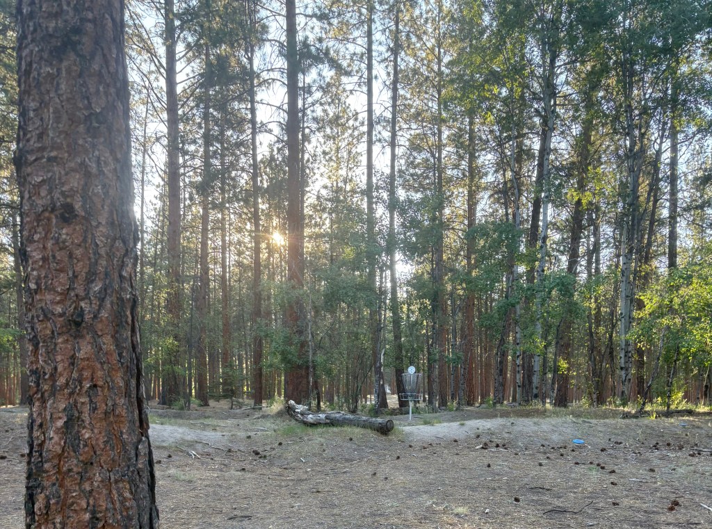 A frisbee golf basket at spiritwood with a forest background and a sunset
