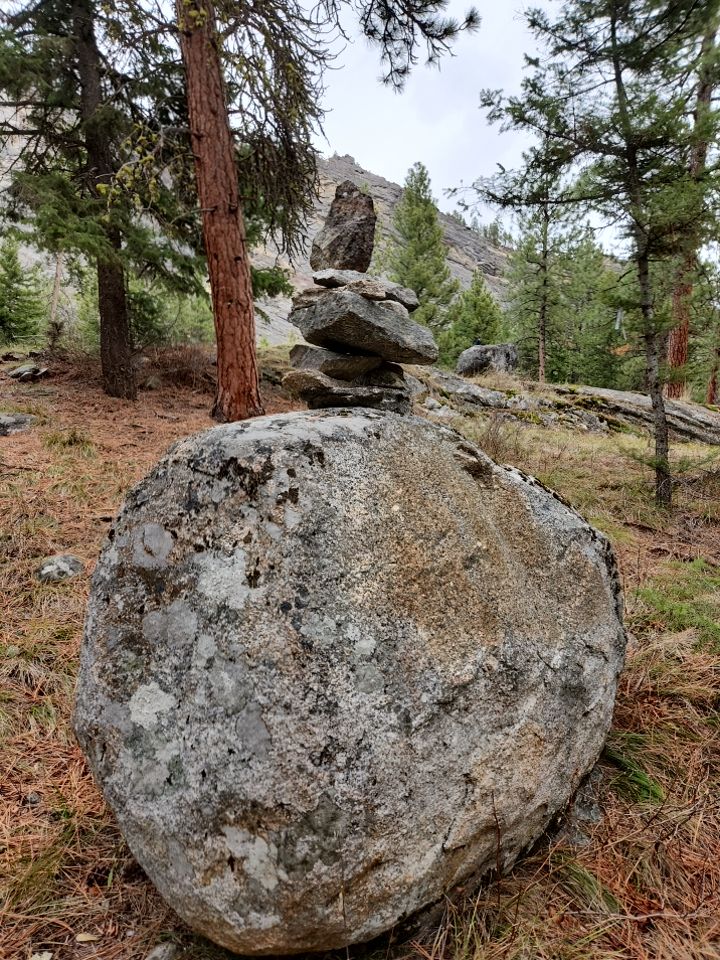 A stack of rocks on top of a big rock with a forest background